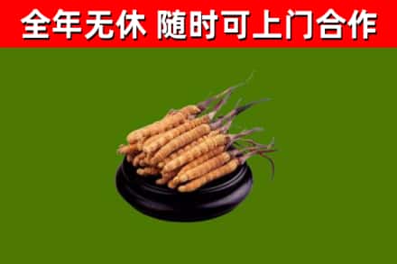 赣榆烟酒回收冬虫夏草.jpg